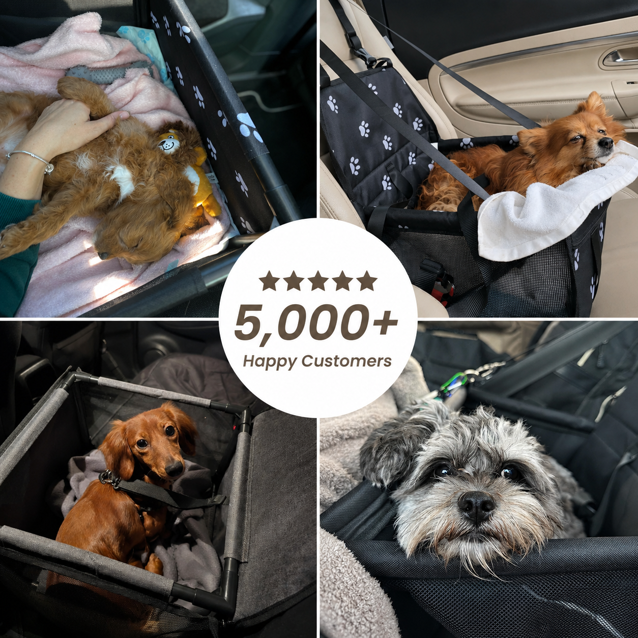 Tails&Trails™ Travel Booster Seat