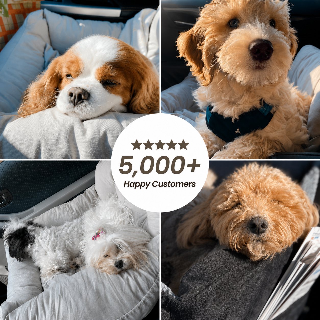Tails&Trails™ Premium Booster Seat