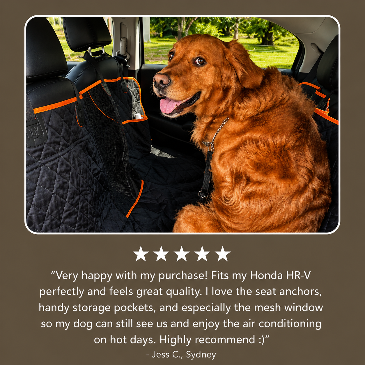 Tails&Trails™ Everyday Bundle