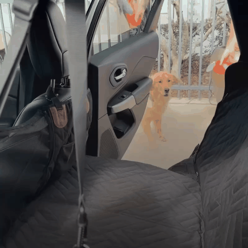 Tails&Trails™ Premium Car Hammock